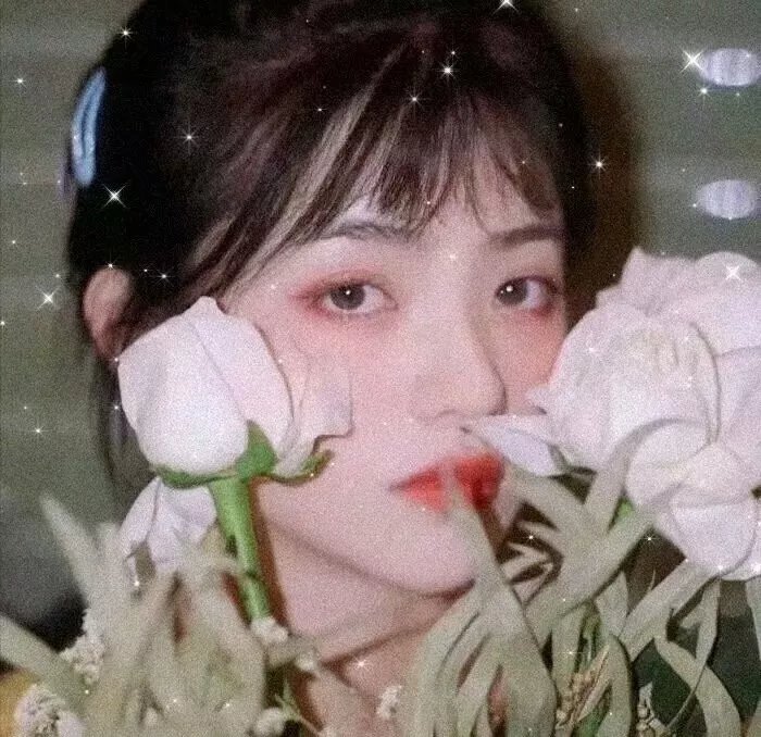 伤不起的女人