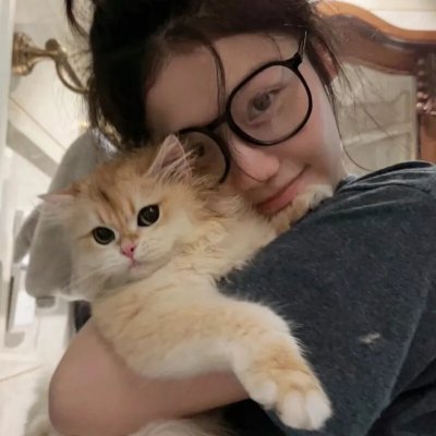 奇怪的猫咪